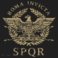 Roma Invicta Spqr Roman Eagle Distressed Beanie thumb 2