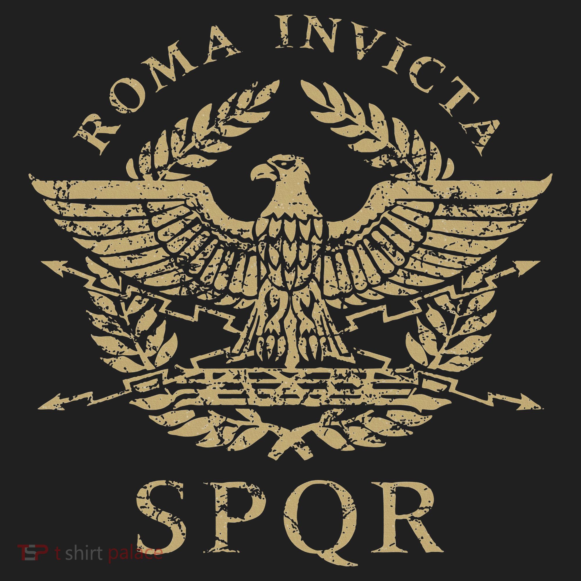 Roma Invicta Spqr Roman Eagle Distressed Beanie