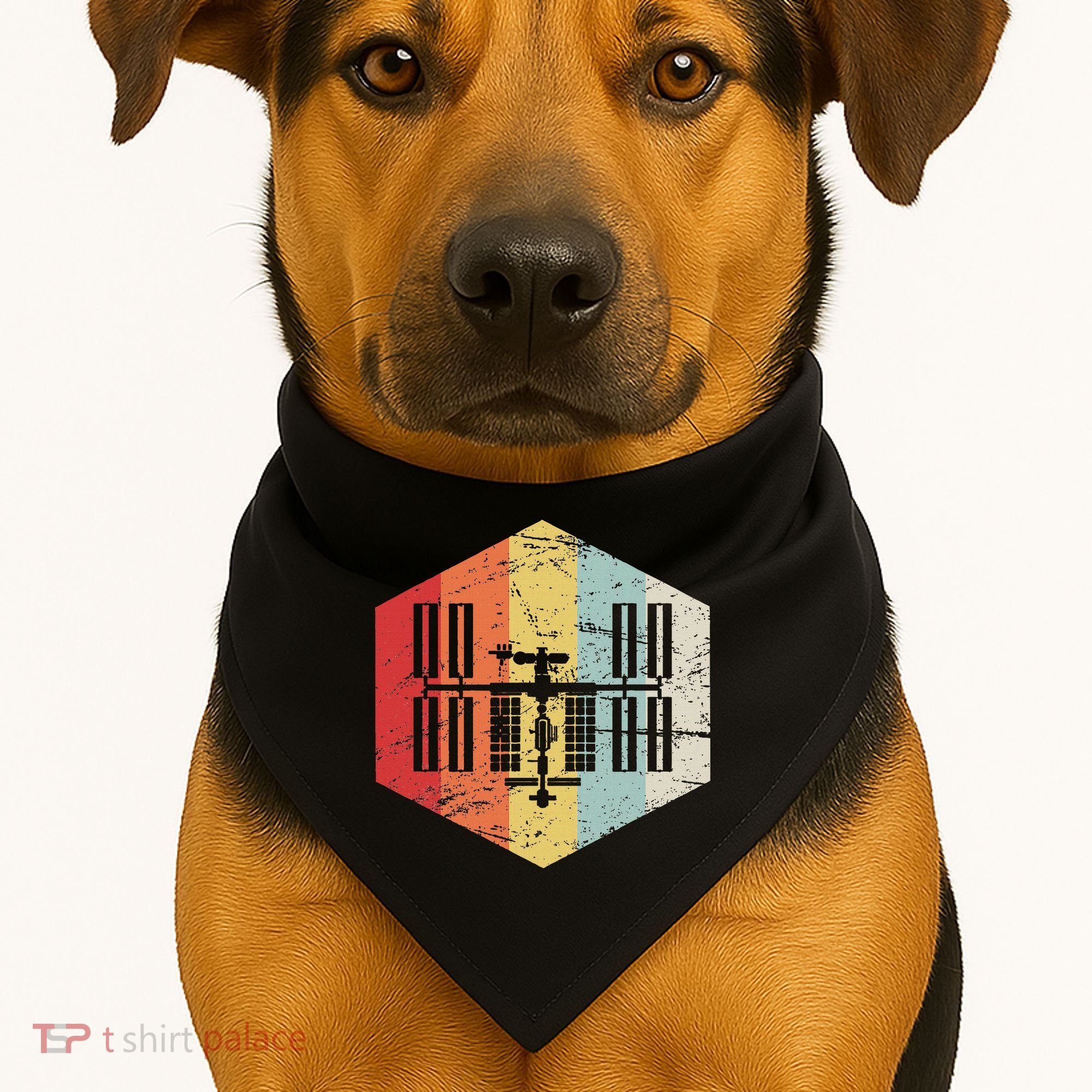 Retro International Space Station USA-Made Doggie Bandana