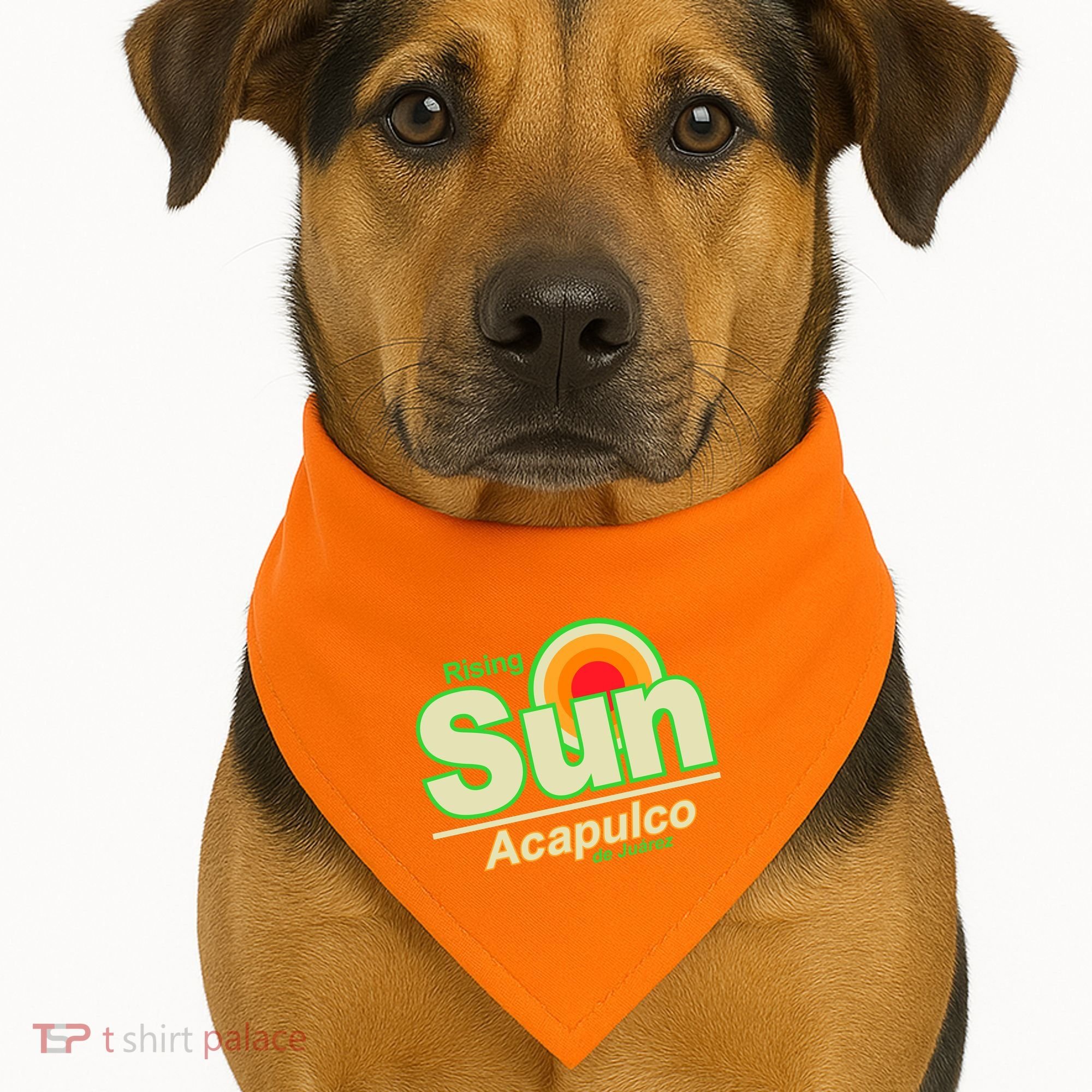 Rising Sun Acapulco Soda USA-Made Doggie Bandana