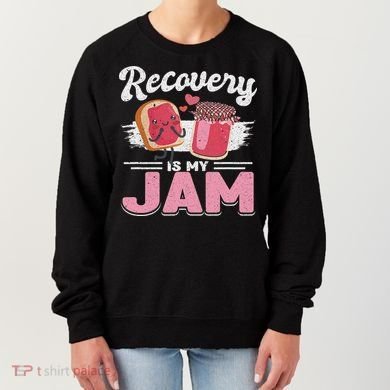 Recovery Jam Narcotics Anonymous Na Aa Sober Sobriety Women's Sweatshirt