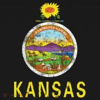 Retro Kansas Flag Vintage Ks Souvenir Gift T-Shirt thumb 7