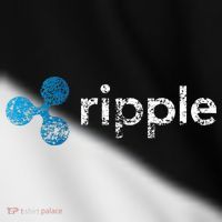 Ripple Logo Crypto Xrp Coin Hodler Fan Toddler Fine Jersey T-Shirt thumb 2