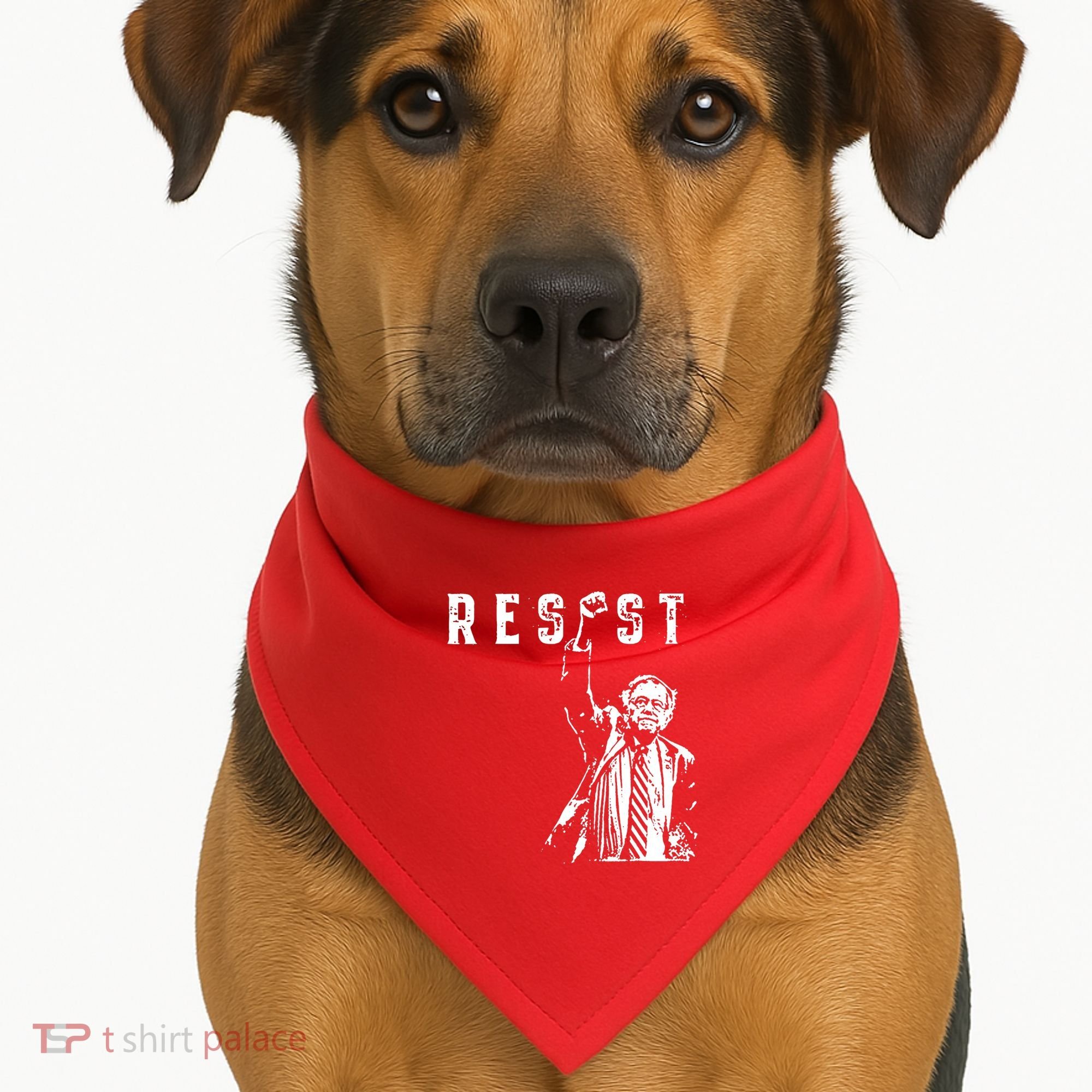 Resist Like Its 1938 Germany USA-Made Doggie Bandana
