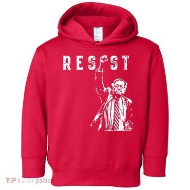 Resist Like Its 1938 Germany Toddler Hoodie