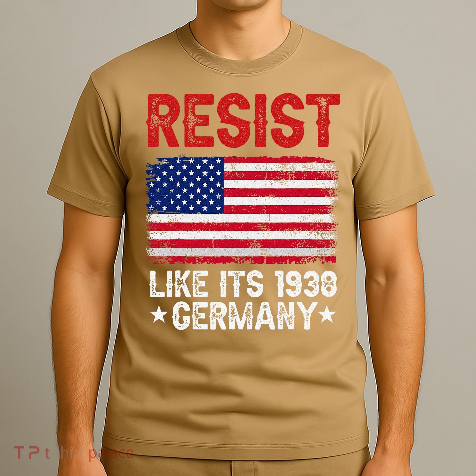 Resist Like Its 1938 Germany Historical Germany USA Flag T-Shirt