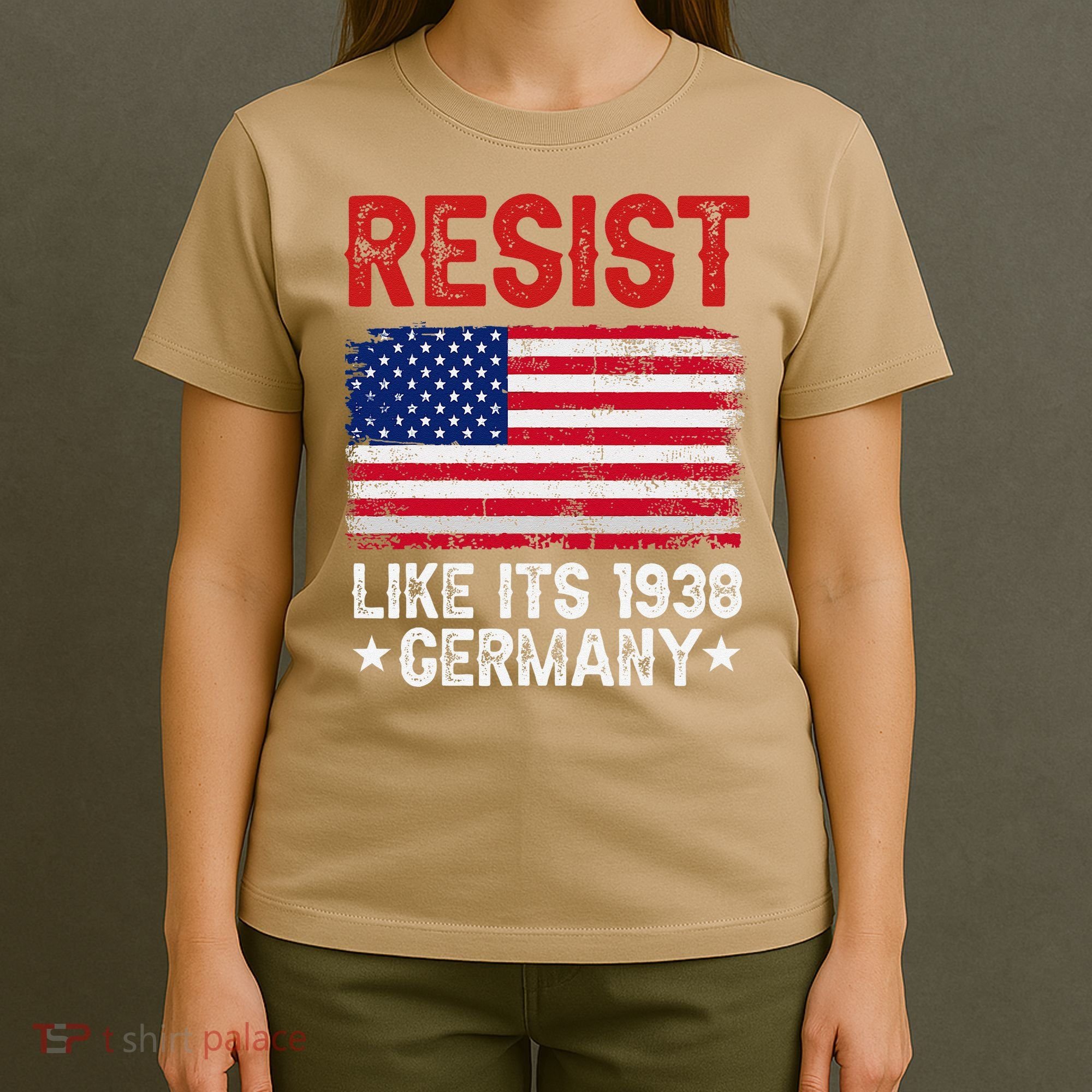Resist Like Its 1938 Germany Historical Germany USA Flag T-Shirt