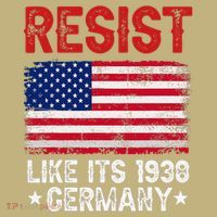 Resist Like Its 1938 Germany Historical Germany USA Flag T-Shirt thumb 7