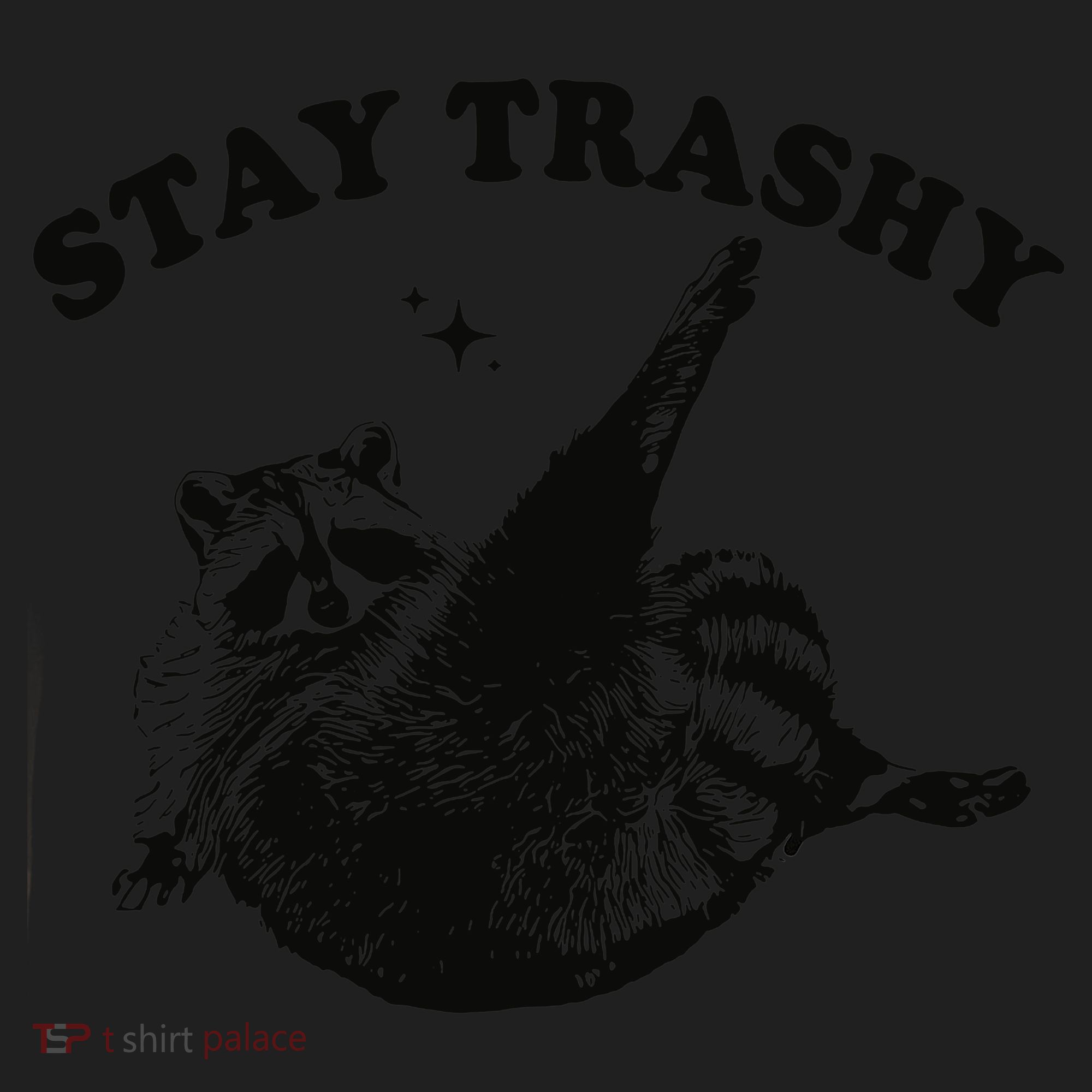 Raccoon Lover Meme Stay Trashy Beanie