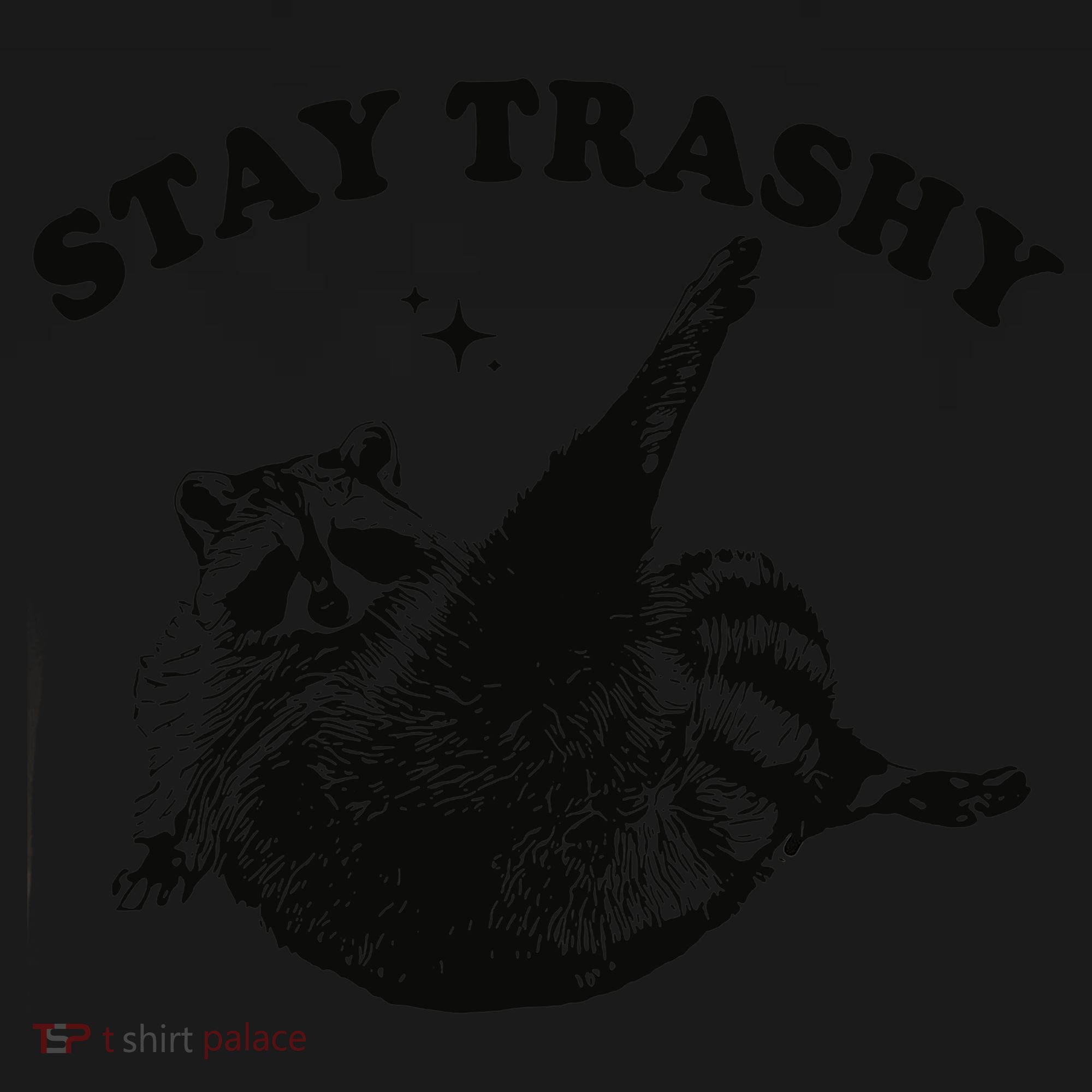 Raccoon Lover Meme Stay Trashy Kids Hoodie