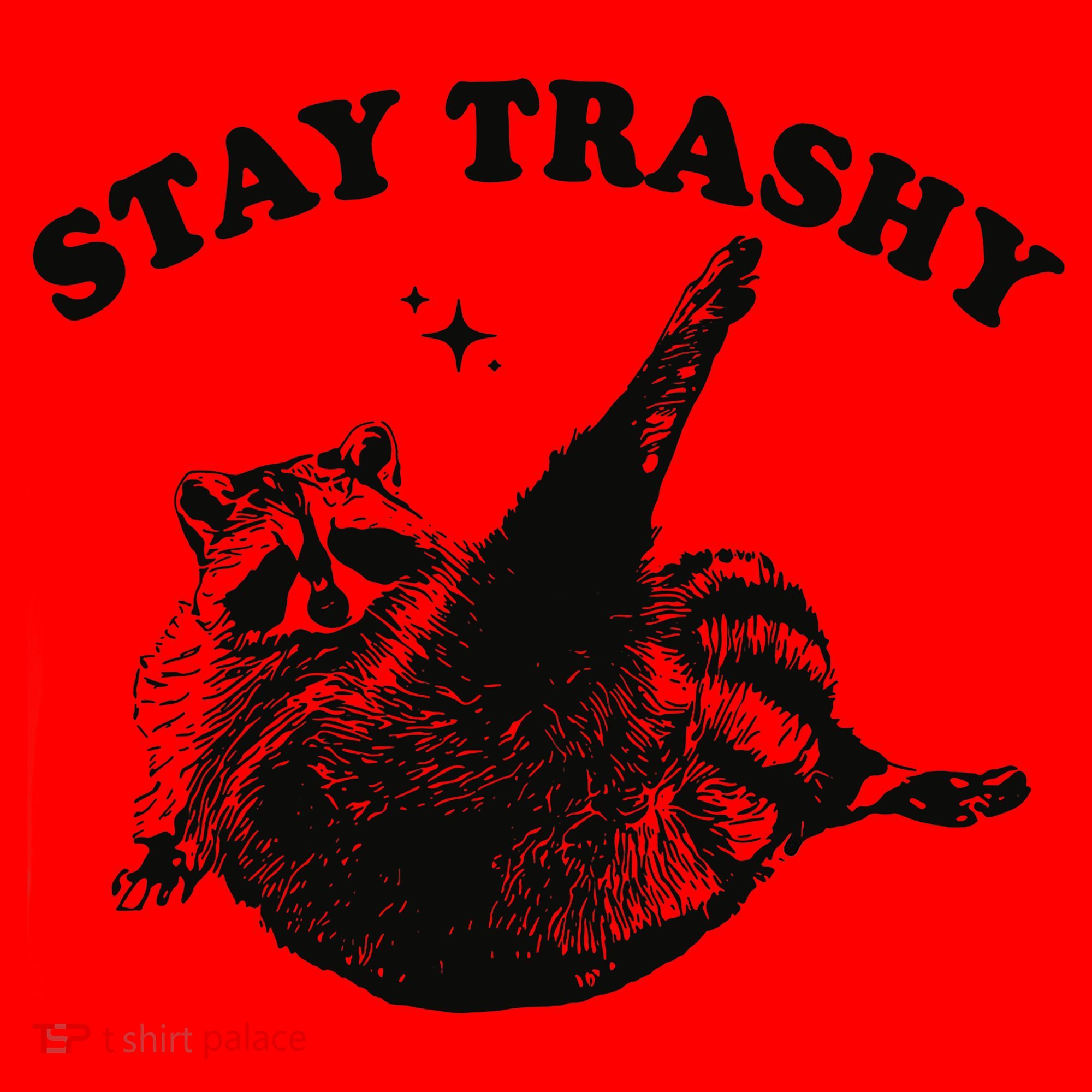 Raccoon Lover Meme Stay Trashy Santa Hat
