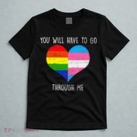 Retro Lgbtq Pride You’Ll Have To Go Through Me T-Shirt thumb 5