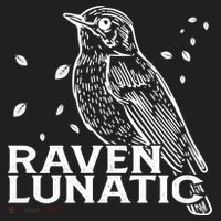 Raven Lunatic Hat thumb 2