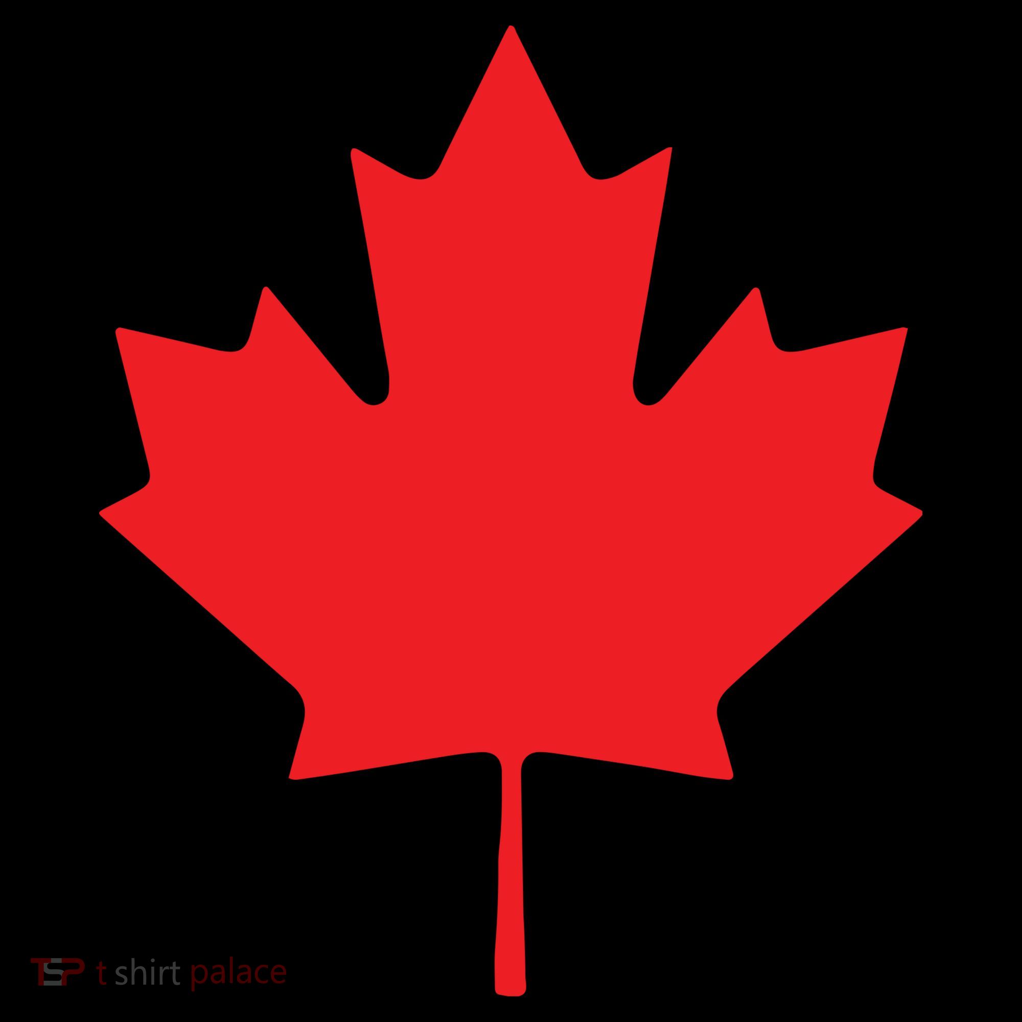 Red Maple Leaf Flag Of Canada Cool Canadian Flags Toddler Hoodie