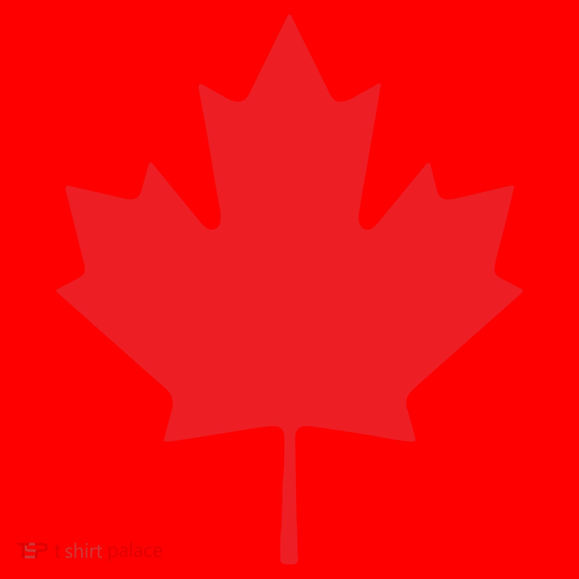 Red Maple Leaf Flag Of Canada Cool Canadian Flags Santa Hat