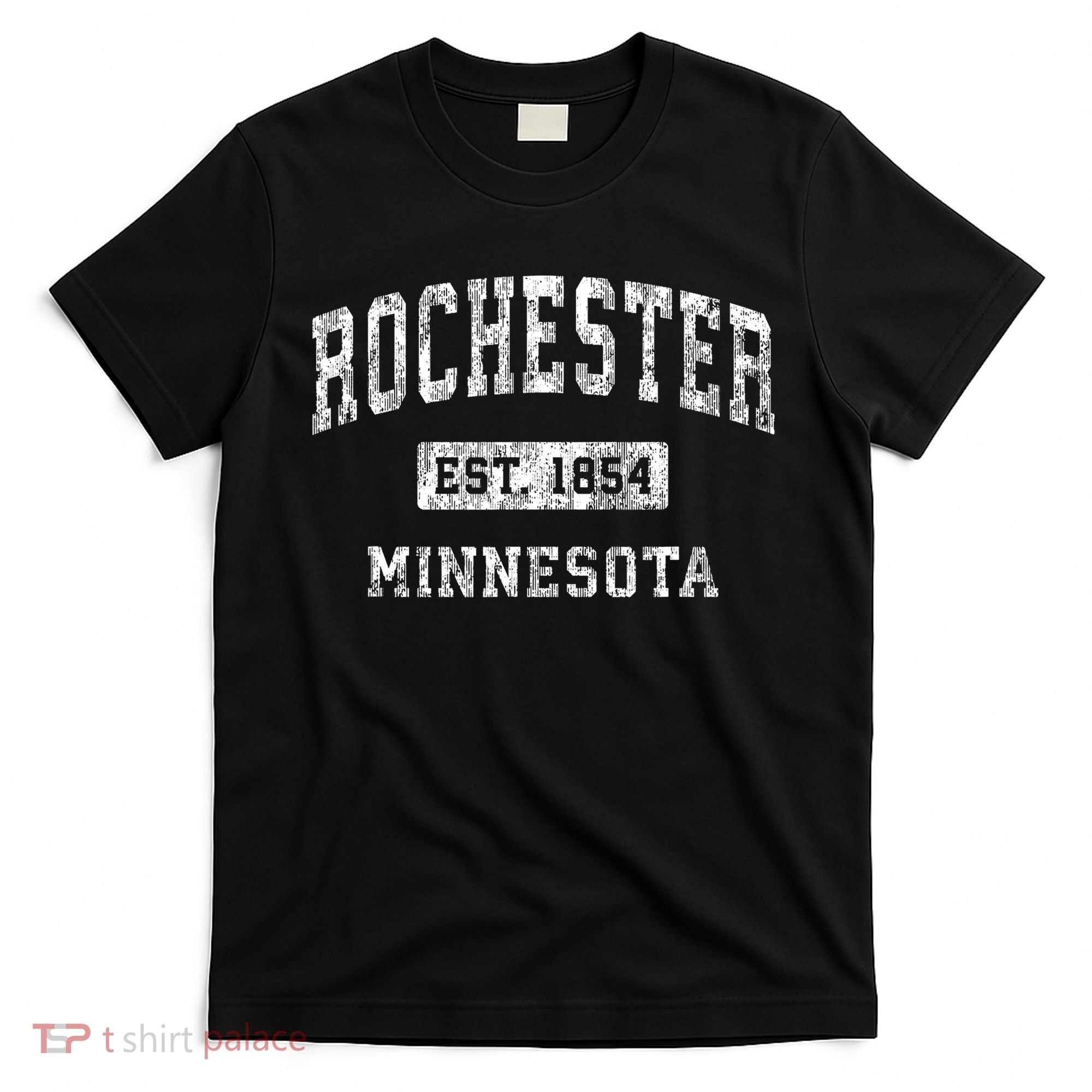 Rochester Minnesota Mn Vintage Established Sports T-Shirt