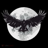 Raven Moon Women's T-Shirt thumb 6
