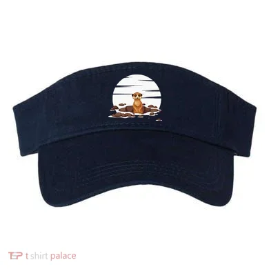 Visor