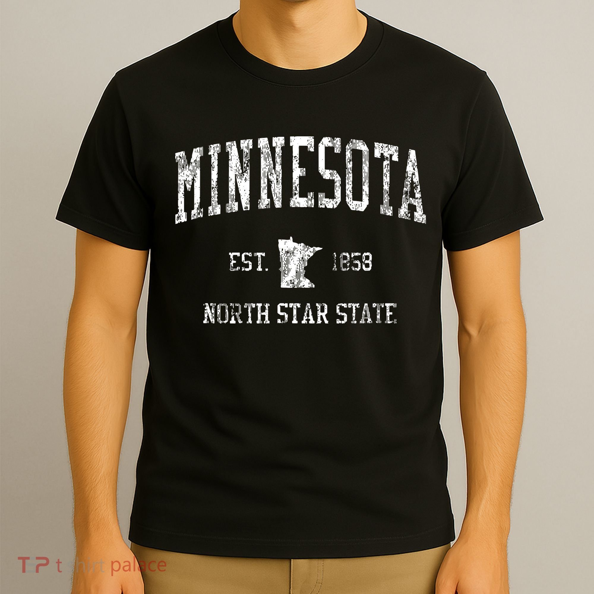 Retro Minnesota Vintage Sports T-Shirt