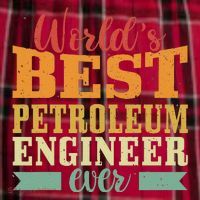 Retro Motif Worlds Best Petroleum Engineer Women's Flannel Plaid Pajama Pants thumb 2