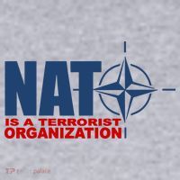 Revblacknetwork Nato Is A Terrorist Organization Women's Sweatshirt thumb 2
