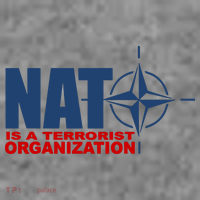 Revblacknetwork Nato Is A Terrorist Organization Toddler Hoodie thumb 2