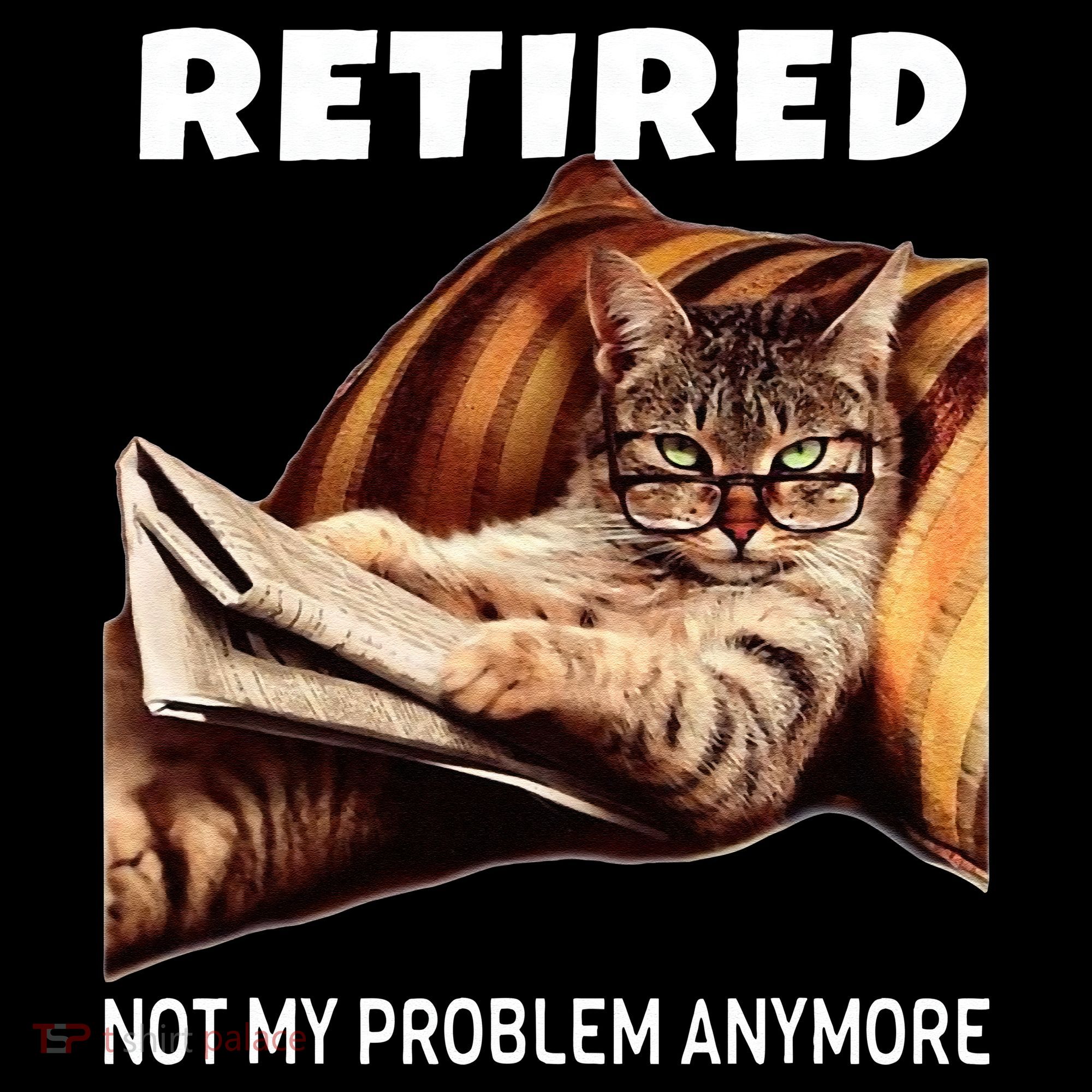 Retired Not My Problem Anymore Funny Cat Retirement Gift Women's Hoodie