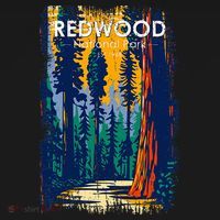 Redwood National Park Vintage Distressed T-Shirt thumb 7