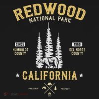 Redwood National Park  Redwood Forest Us Nationalpark Mousepad thumb 1