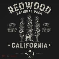 Redwood National Park Vintage California Bear Gifts T-Shirt thumb 7