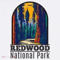 Redwood National Park Vintage T-Shirt thumb 7