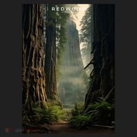 Redwood National Park Women's Sweatshirt thumb 2