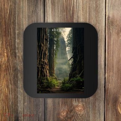 Redwood National Park Coaster