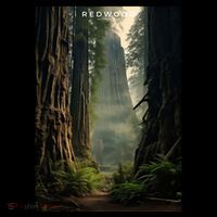 Redwood National Park Coaster thumb 2