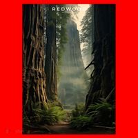 Redwood National Park Santa Hat thumb 1