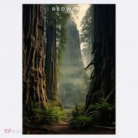 Redwood National Park Visor thumb 3