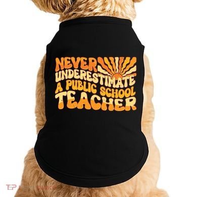 Retro Never Underestimate A Public A School Teacher Doggie Tank