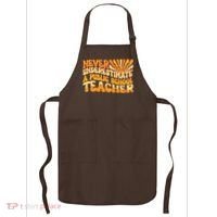 Retro Never Underestimate A Public A School Teacher Apron thumb 0