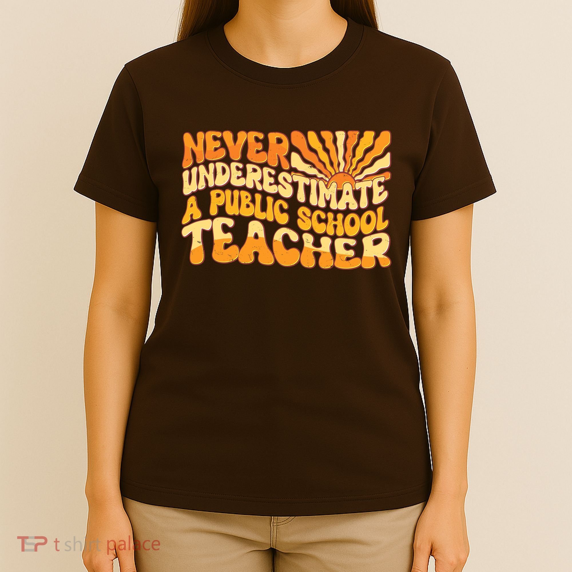 Retro Never Underestimate A Public A School Teacher T-Shirt
