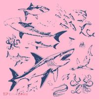 Retro Ocean Animal Wildlife Shark Fish Octopus Nature Coaster thumb 2