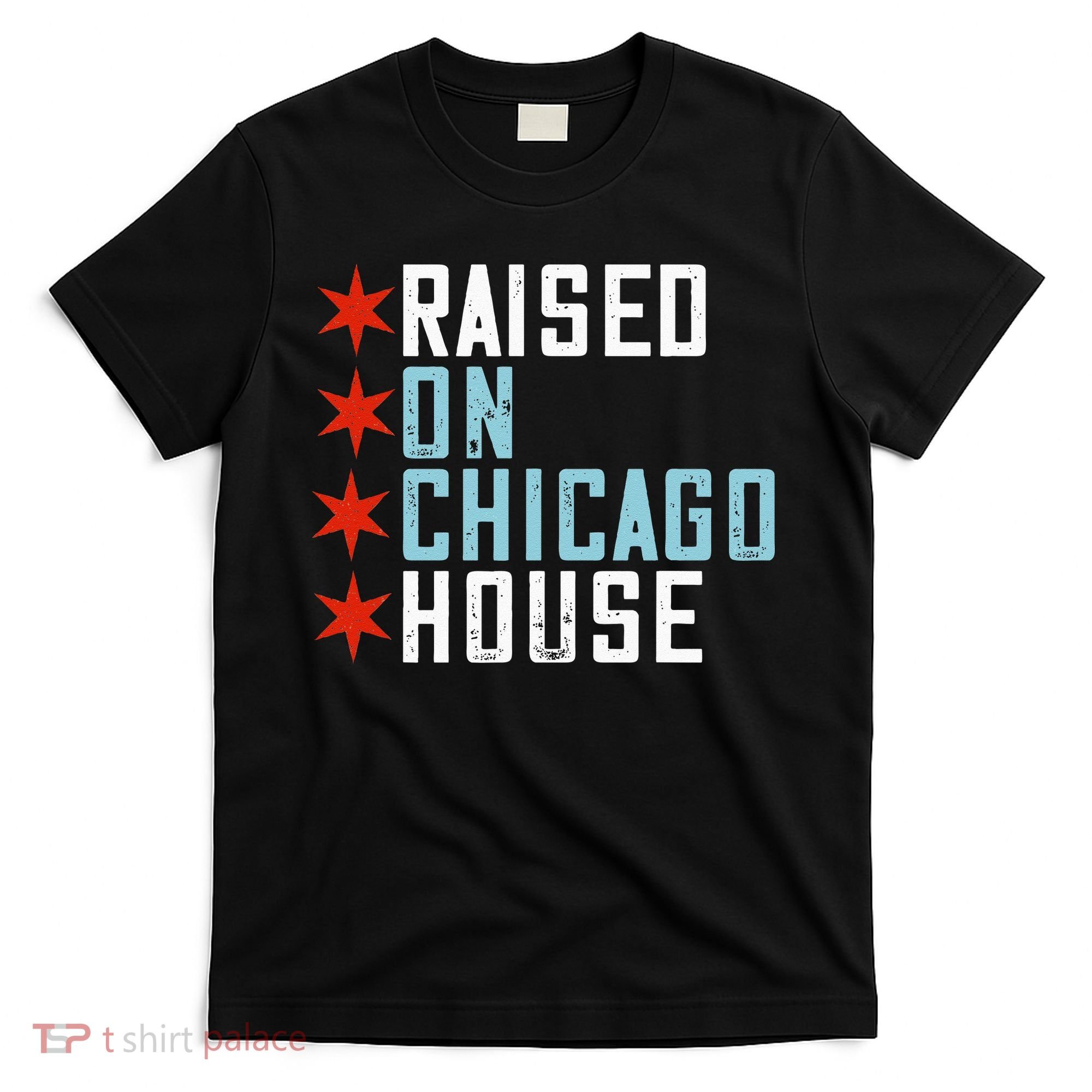 Raised On Chicago House Music EDM DJ Illinois Raver T-Shirt