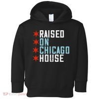 Raised On Chicago House Music EDM DJ Illinois Raver Toddler Hoodie thumb 0