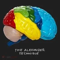 Rex Orange County The Alexander Technique Tumbler thumb 3