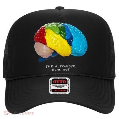 Rex Orange County The Alexander Technique Hat