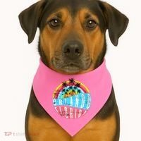 Retro Orlando Florida Icon USA-Made Doggie Bandana thumb 1