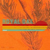 Royal Oak Michigan Kati Licensed 12" Camo Cuffed Beanie thumb 2