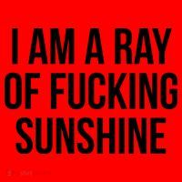 Ray Of Sunshine Santa Hat thumb 1