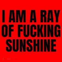 Ray Of Sunshine Santa Hat thumb 1