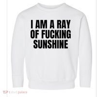 Ray Of Sunshine Toddler Sweatshirt thumb 0