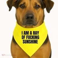 Ray Of Sunshine USA-Made Doggie Bandana thumb 1